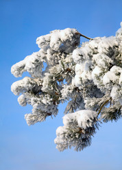 Similar image 1766741