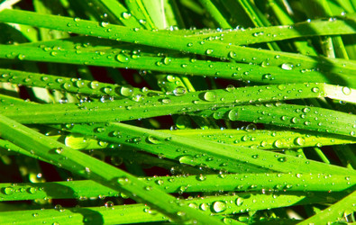 Similar image 1766743