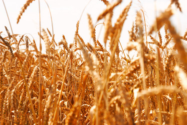 Similar image 1766750