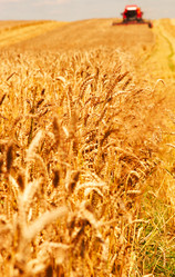 Similar image 1766752