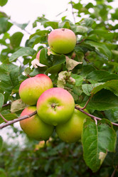 Similar image 1766769