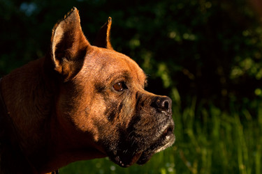 Similar image 1766772