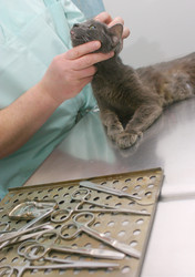 Similar image 1766781