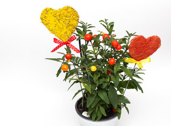 Similar image 1766879