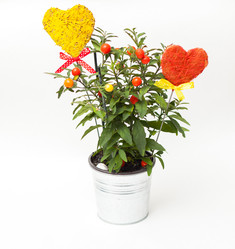 Similar image 1766880