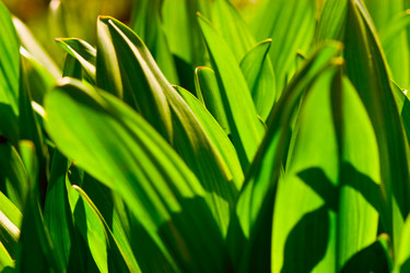 Similar image 1766918