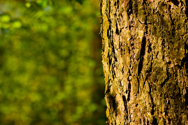 Similar image 1766920