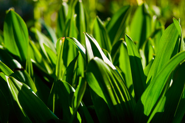 Similar image 1766921