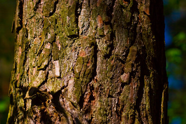 Similar image 1766927