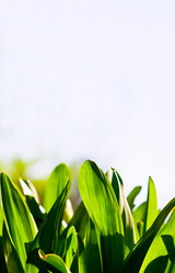 Similar image 1766929