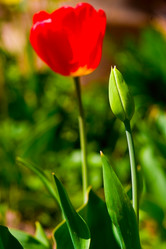 Similar image 1766930