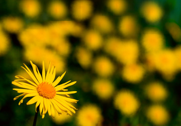 Similar image 1766931