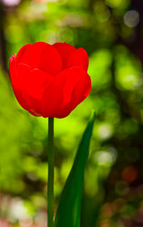 Similar image 1766933