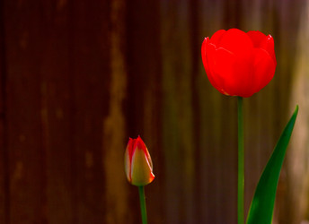 Similar image 1766934