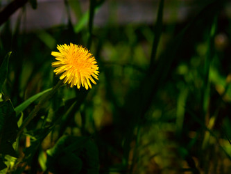 Similar image 1766936