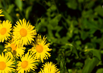 Similar image 1766942