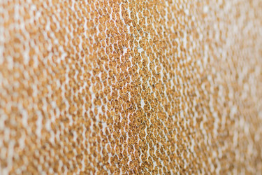 Similar image 1766945