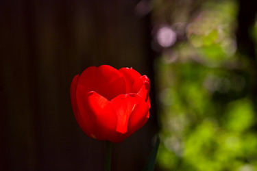 Similar image 1766947