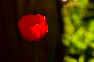 Similar image 1766949