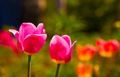 Similar image 1766976