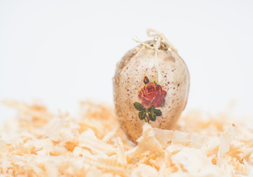 Similar image 1767017