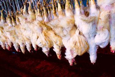 Similar image 1767044