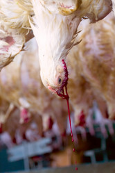 Similar image 1767046