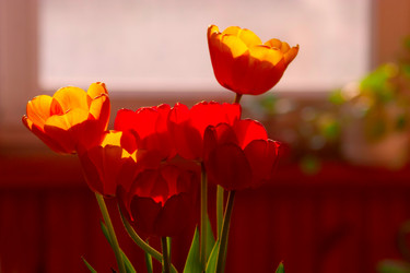 Similar image 1767047