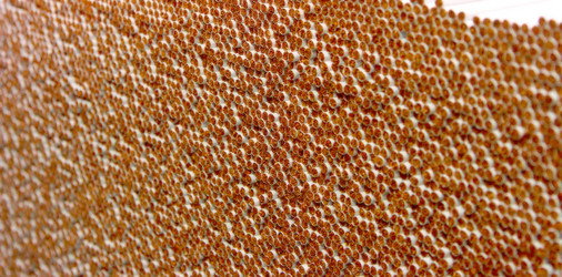 Similar image 1767051