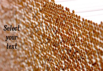 Similar image 1767052