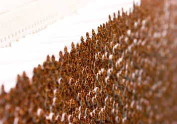 Similar image 1767055