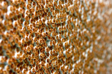 Similar image 1767056