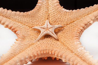 Similar image 1767698