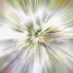 Similar image 1767794