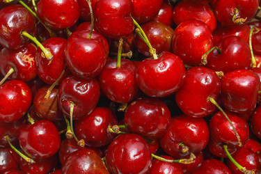 Similar image 1768405