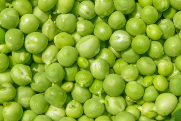 Similar image 1768449