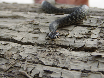 Similar image 1768677