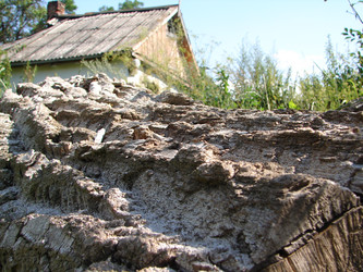 Similar image 1768697