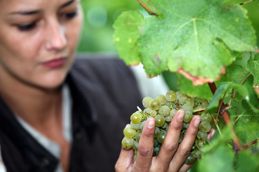 Similar image 1768810