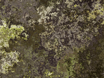 Similar image 1769079