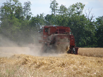 Similar image 1769156