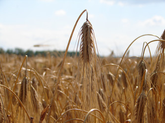 Similar image 1769157