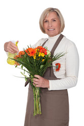 Similar image 1769333