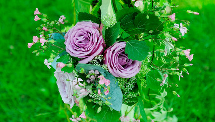 Similar image 1769610