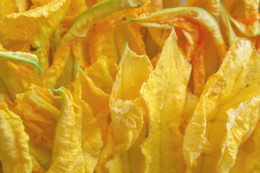 Similar image 1769647