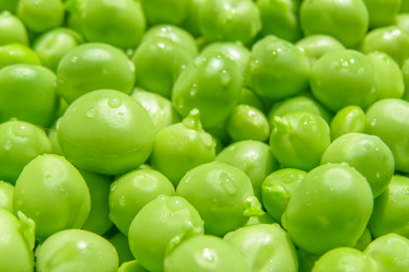 Similar image 1769648