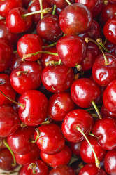 Similar image 1769652