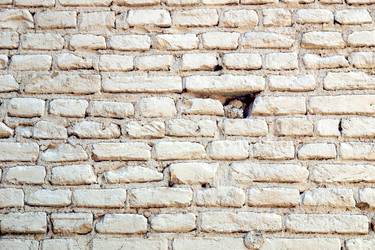 Similar image 1769655