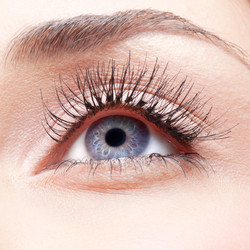 Similar image 1769745