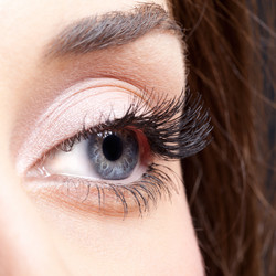 Similar image 1769757